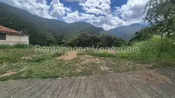 View 1