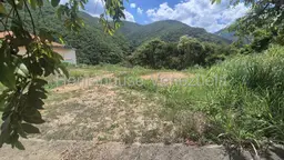 View 12
