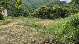 View 13