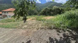 View 14