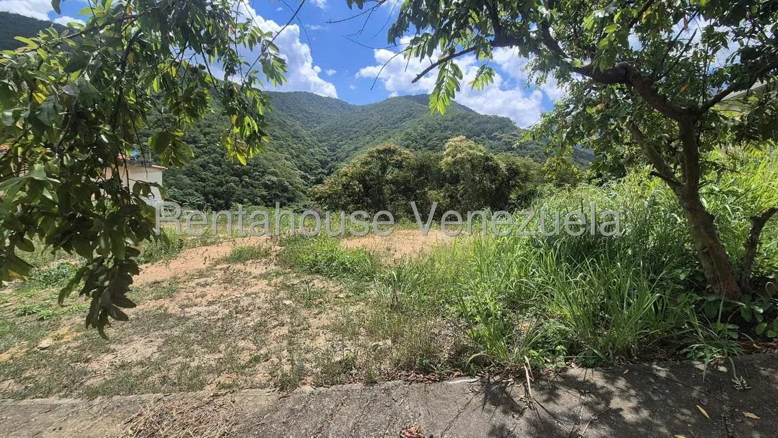 Terreno (Residencial) en Venta en Izcaragua, Distrito Metropolitano - 15