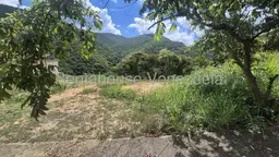 View 15