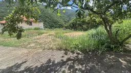 View 18