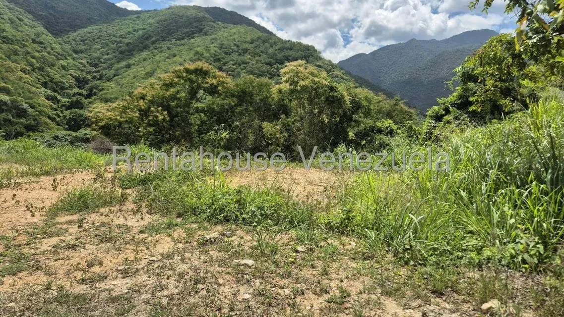Terreno (Residencial) en Venta en Izcaragua, Distrito Metropolitano - 5