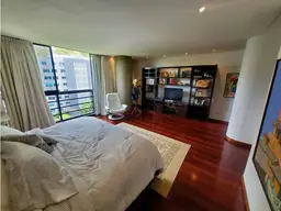View 41