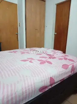Vista 5