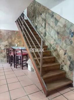 Vista 6