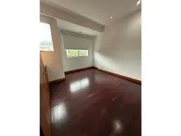 Vista 19