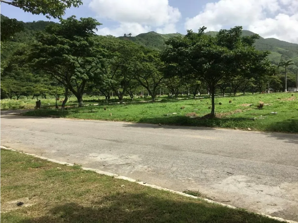 Vendo Dos Parcelas de Dos Puestos en Los Jardines del Cercado - 5