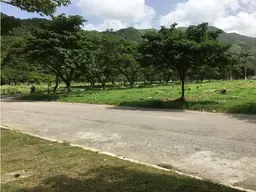 Vista 5