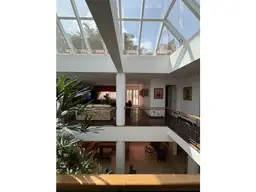 Vista 19