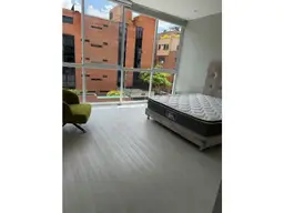 Vista 15