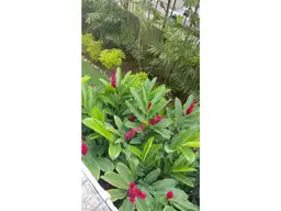 View 8