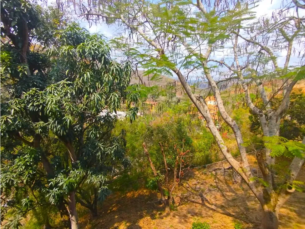 Vendo apartamento Ph 87m2 Paracotos 8252 - 14
