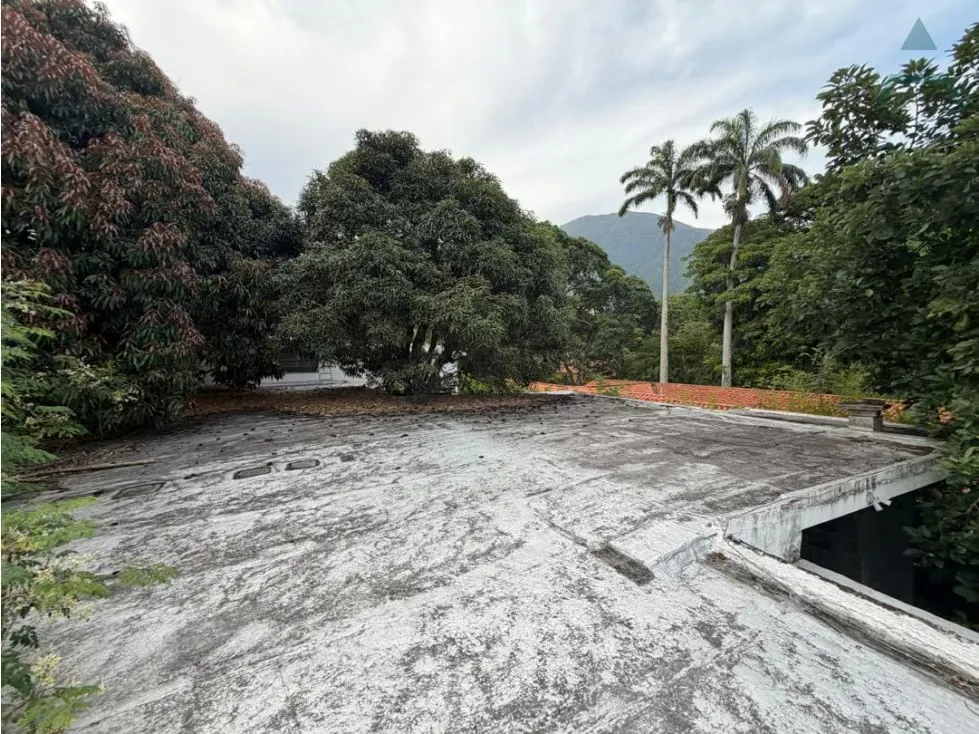 Se vende Casa 600m² La Floresta - 4