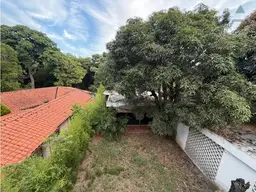 View 5