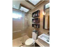 Vista 15