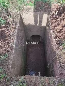 Vista 5
