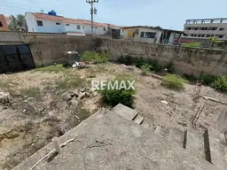 Vista 5