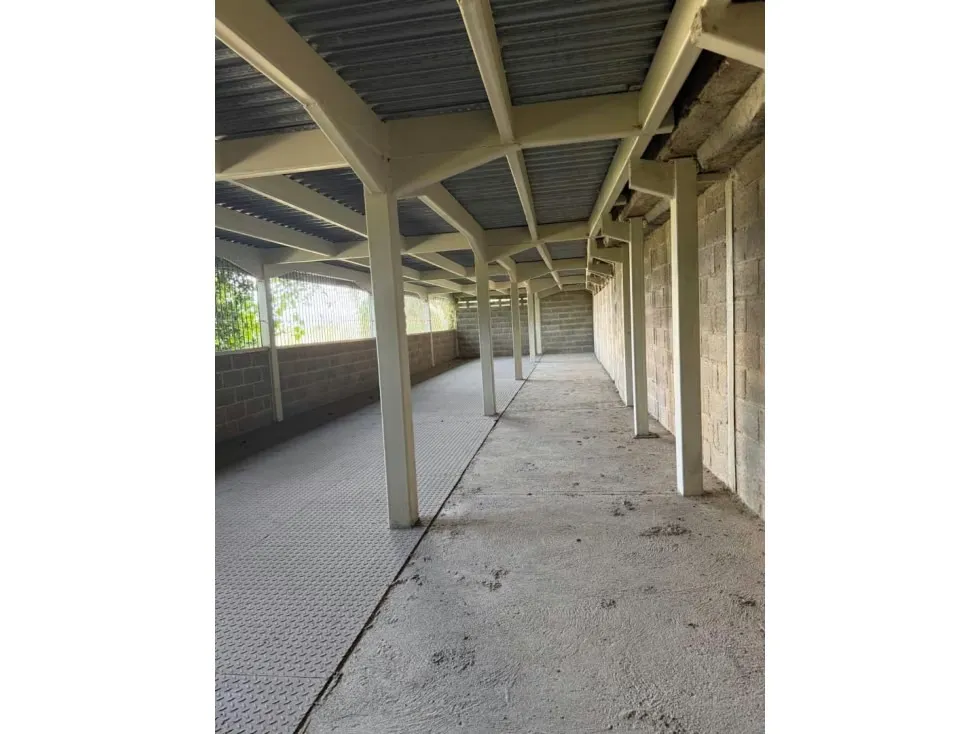 Vendo galpón industrial 2250m2 EL Placer 6502 - 3
