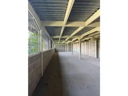 Vista 4