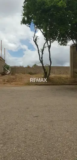 View 2