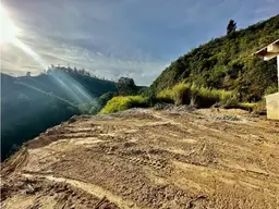 View 13