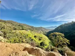 View 14
