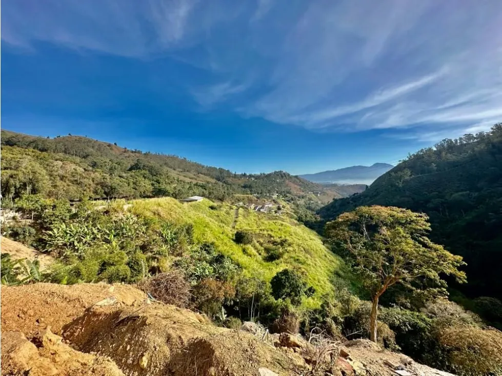Se vende terreno 122.076m2 Los Salías Los Teques Miranda - 17