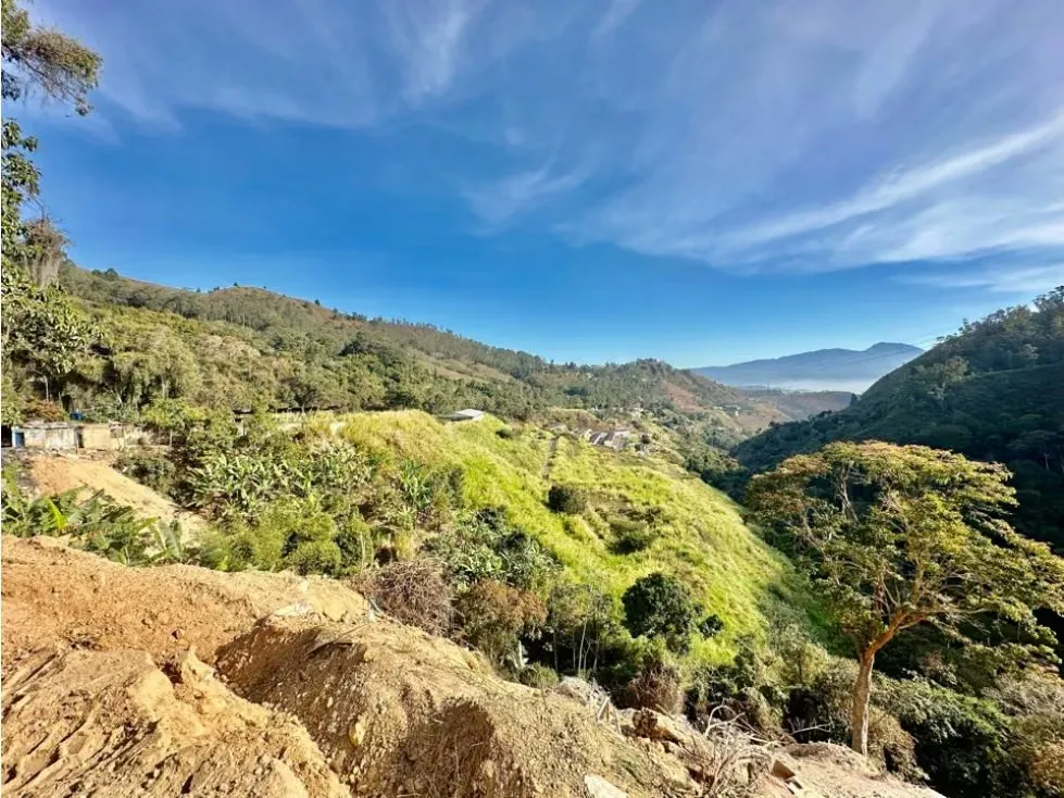 Se vende terreno 122.076m2 Los Salías Los Teques Miranda - 18