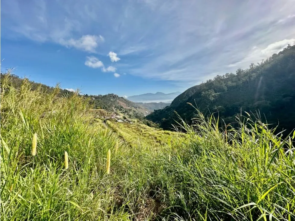 Se vende terreno 122.076m2 Los Salías Los Teques Miranda - 3