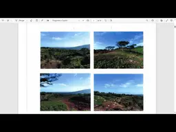 Vista 1