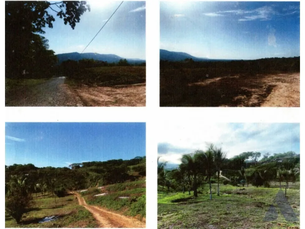 Vendo terreno 75000 m2 Tucacas 4015 - 3