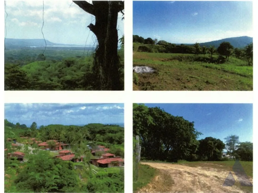 Vendo terreno 75000 m2 Tucacas 4015 - 4