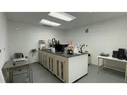 Vista 16