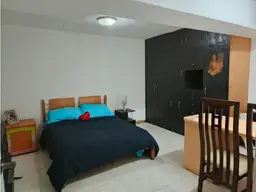 Vista 15