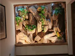 Vista 16