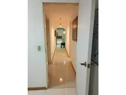 Vista 19
