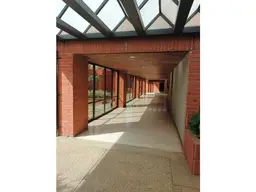 Vista 5