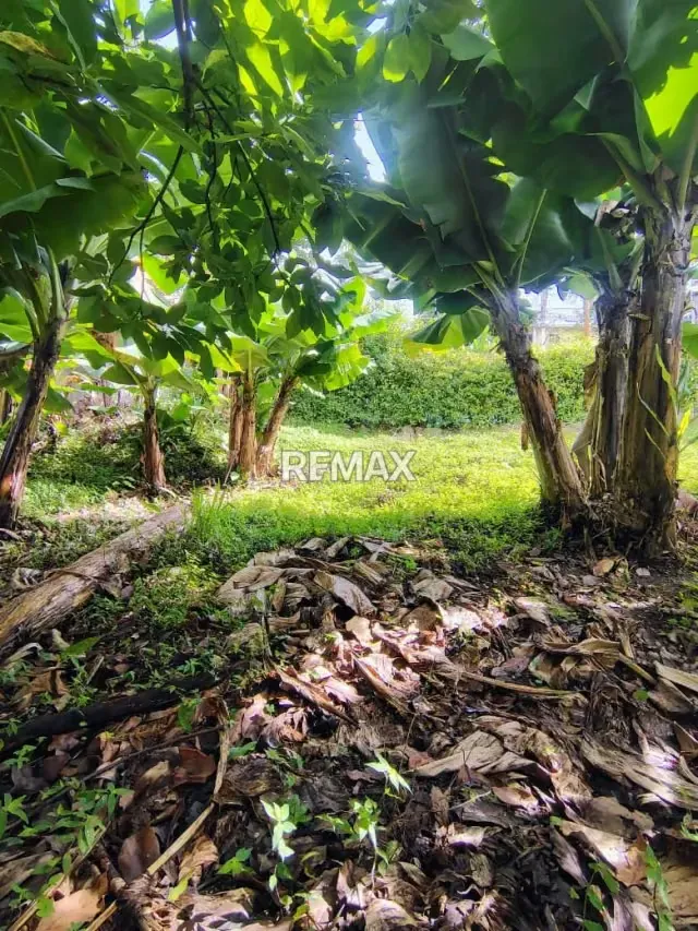 Terreno. Venta. Palmira - 2