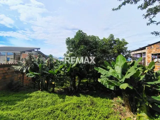 Terreno. Venta. Palmira - 3