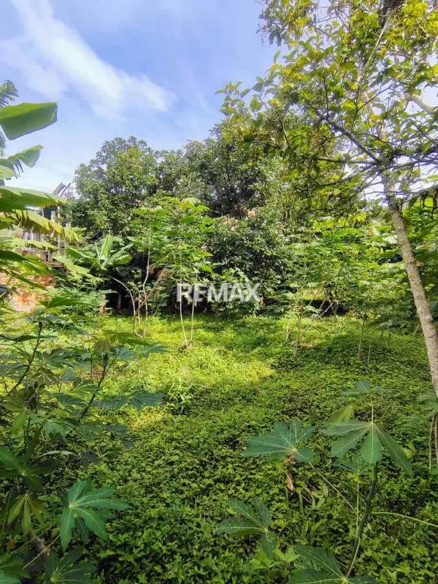 Terreno. Venta. Palmira - 6