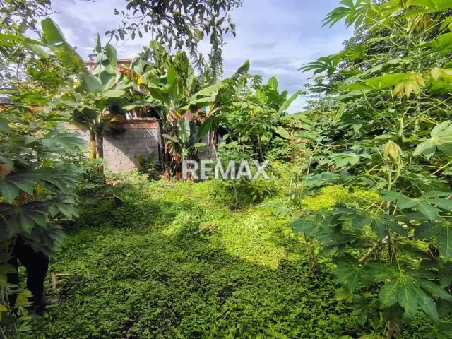Terreno. Venta. Palmira - 7
