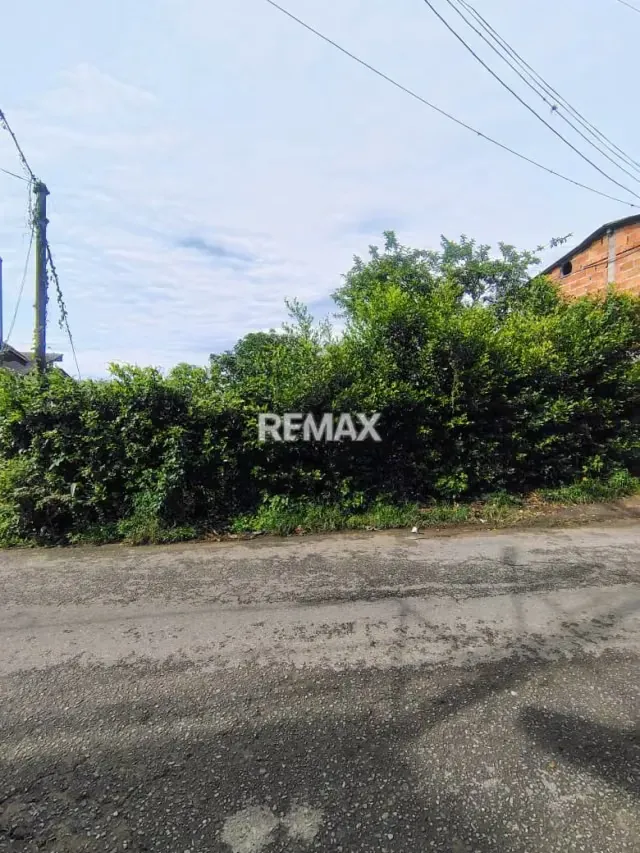 Terreno. Venta. Palmira - 9
