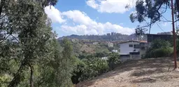 View 12