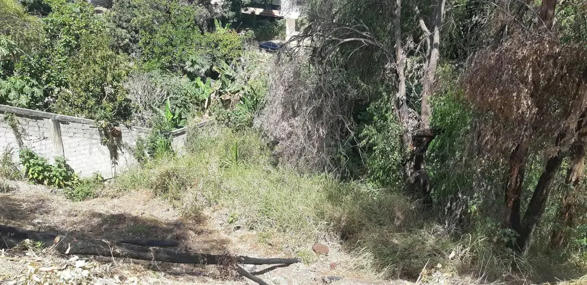 Terreno (Residencial) en Venta en La Trinidad, Distrito Metropolitano - 14