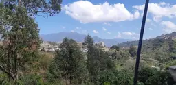 View 16