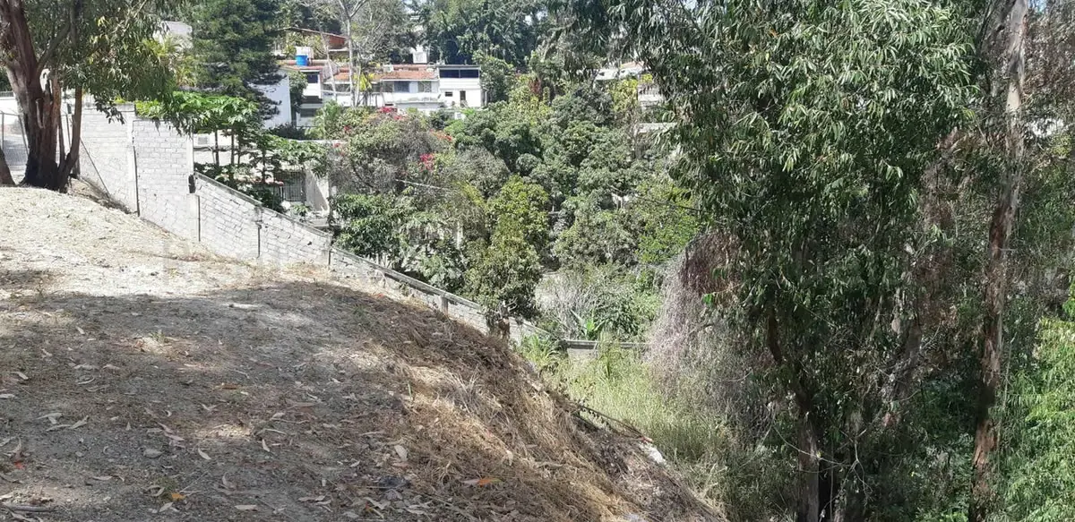 Terreno (Residencial) en Venta en La Trinidad, Distrito Metropolitano - 5