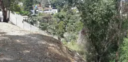 View 5