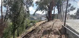 View 7